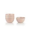Everything Kitchens Colorful Glazed 16-Piece Dinnerware Set | Blush Pink