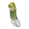 CAMP Orbit Wire Express (Pack of 6) Quickdraw, Silver/Green, 11 cm