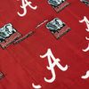 NCAA Alabama Tide Apron, One Size Fits All, Crimson