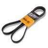 Continental 6PK1698 METRIC MULTI V-BELTS