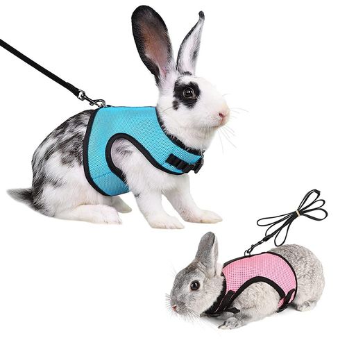 Soft Rabbit Harness with Lead - 2 Pieces Mesh Kitten Pet Rabbit Harness Adjustable with Elastic Pet Jogging Lead