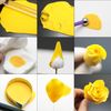 7pcs Rose Petal Cutter Set Gum Paste Fondant Cake Cutters Decorating Tools
