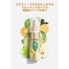 Pantene Airy Soft Care Intensive Milk
