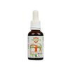TOCOMED Tocomin Liquid Extract - Vitamin E Complex with Tocotrienol by EVNol