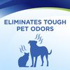 BISSELL INSTAclean Pet Stain Remover, 1684