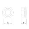 BP Chromate Flange Nut M6 100 Pack