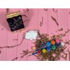 Paint Your Own Craft Fun Animals Set - DIY Gift, Plaster Panting, Paint Box