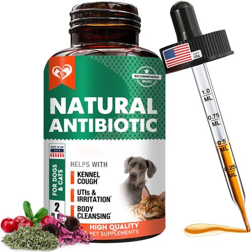 Natural Antibiotic for Dogs & Cats – Herbal Supplement for Kennel Cough Relief, UTI Treatment, Urinary Tract Health, Intestinal Defense & Immune Support – Liquid Drops Made in USA