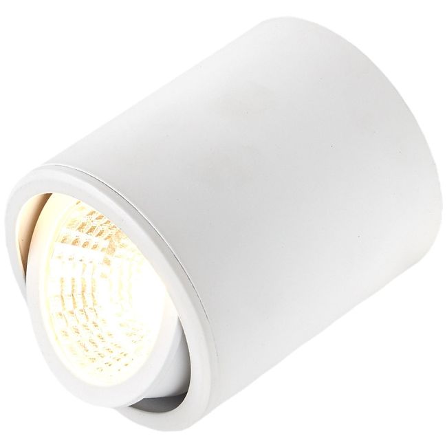 Cylindrical Surface Mounted LED COB Spot Downlight