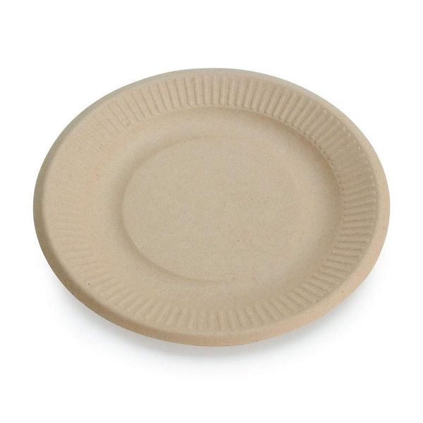 100% Compostable Disposable Paper Plates Bulk [6" 125 Pack], Bamboo Plates, Eco Friendly, Biodegradable, Sturdy Small Dessert Party Plates, Heavy-Duty, Unbleached by Earth's Natural Alternative