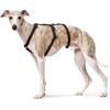 HUNTER Escape-proof harness Vario Rapid, M black, Nylon