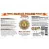 Yucca (Yucca glauca) Liquid Extract 2 fl.oz