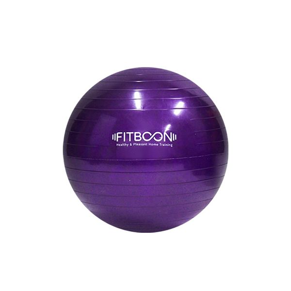 Pitbun Yoga Gym Ball FB-YB01, Purple