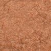 Nelpara Velvet Powder #25 Mocha Beige