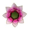 Lotus Light Pink/Light Pink Gold Rim - 13.5 cm