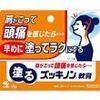 【第3類医薬品】塗るズッキノン 15g ×5