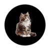 Norwegian Forest Cats Norwegian Forest Cat PopSockets Swappable PopGrip