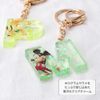 [Premium Style] Alphabet Charm [Rapunzel] PG-DCM29RPZ