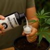 Weedness BioBizz Microbes 150 grams Fertilizer