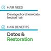 Novex The Powerful Charcoal Conditioner - 300ml
