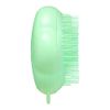 Tangle Teaser Pet Teaser Cat Friendly Mint