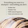 Nutrafol Shampoo 8.1 Fl Oz Bottle