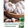 Odorless Garlic 2400 mg | 120 Softgel Capsules | High Strength Extract Pills | Non-GMO, Gluten Free Supplement | by Nature's Truth