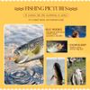DONQL 10 Pieces Soft Fishing Lures with Box, Lifelike T-Tail Perch Lures Up to 30M Casting Distance Trout Fishing Lures for Freshwater and Saltwater Fishing Lures with Sharp Treble Hooks