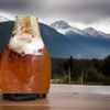 Large KOMBUCHA SCOBY  And 2 CUPS Strong starter tea (Makes 1 Gallon Batch)