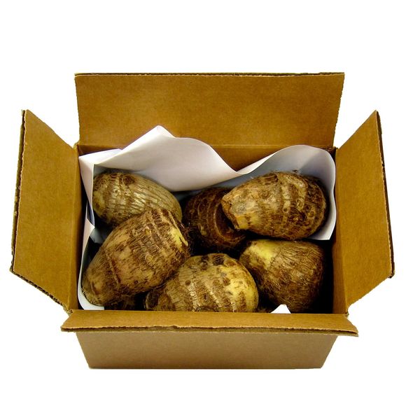 Small Taro Root - 2lbs