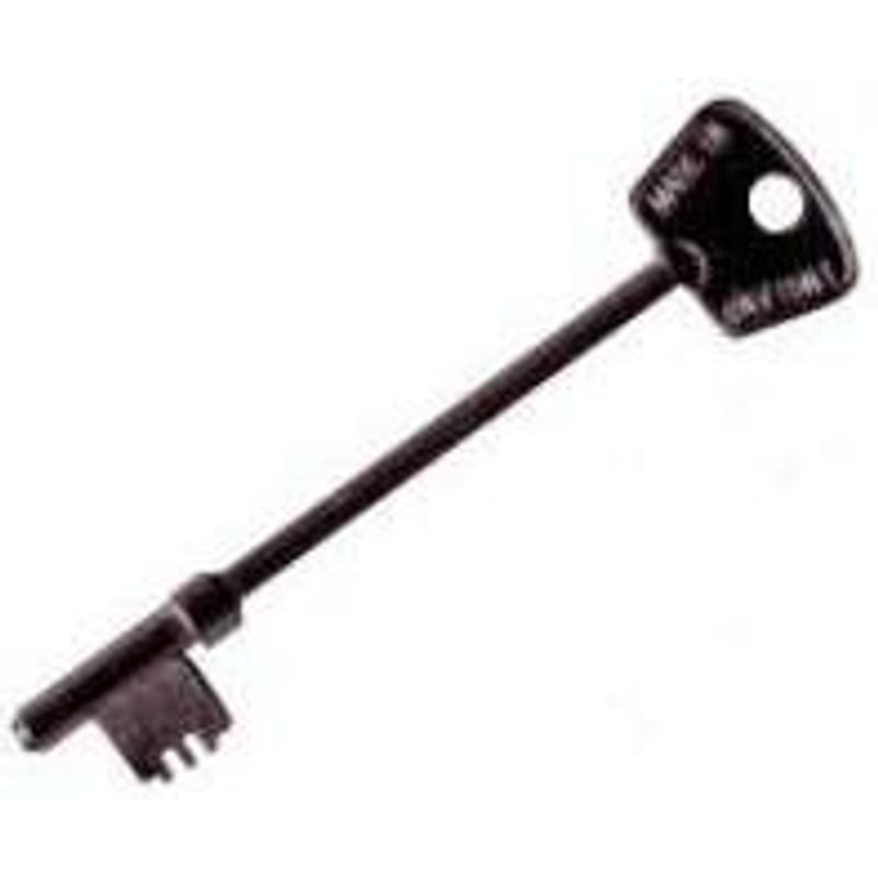Disabled Toilets Radar Key (Small Head) - Online Marketplace - EveryMarket
