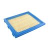 GreenStar 5370/Air Filter for Briggs and Stratton
