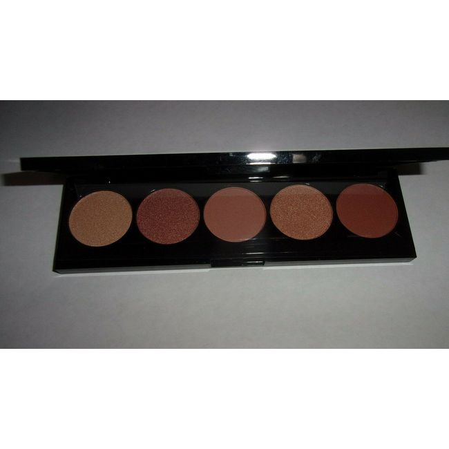 BRAND NEW LARITZY COSMETICS ARTISTRY PALETTE CLASSIC- 5 SHADOWS IN THIS- READ