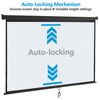 Manual Pull Down Projector Projection Screen Home Theater Movie 100" 16:9 Black