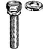 M8-1.25 X 40mm Sems Split Wave Wash Bolt W/Flat Washers