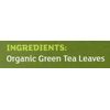 Equal Exchange Organic Green Tea - 20 Tea Bags