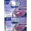 Same Bus Day Ship Dial Lavender Antibacterial Deodorant Soap 2ea 2ct Pk(4 Bars)