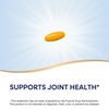Nature's Way Turmeric Premium Extract - Supports Joint Health* - Non-GMO Project Verified - 500 mg per Serving - Joint Supplement Turmeric Tablets* - Gluten Free - 120 Tablets