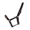 Hy Holly Fully Adjustable Headcollar(Fuchsia, Full)