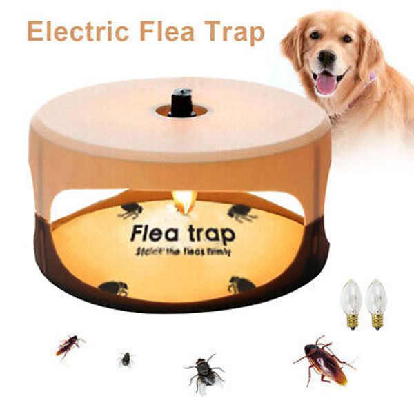 Electric Flea Trap Killer Home Pest Control Sticky Discs Spare Lamp Non-toxic