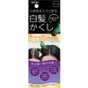 Hidaka Gray Hair Hide N Black