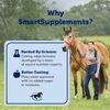 SMARTPAK Acetyl L-Carnitine Powder - 1 lb Bag