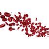 Wellness formula vitamins - BLOOD SUGAR SUPPORT - blood sugar formula