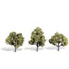 Classics Tree, Early Light 10cm x 13cm (3)