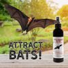 Uncle Dunkels All-Natural Bat-Nip’ Pheromone Spray; 4 Fluid Ounces Bat House Attractant Spray