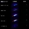 Daiwa Egi Emerald Amoras Joint Type S3.5 Luminous - Orange Shrimp