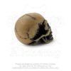 Alchemy Gothic Lapillus Worry Skull