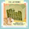 ideastore Rabbit, Timothy Container, Meadow, Large Capacity, External (Green)