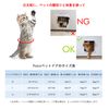 Ycozy Pet Door with 4 - Way Lock for Cats, brwon