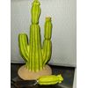  Fiesta Cactus Cheese Spreader Set  Dept 56 Kitchen Party Decor NIB